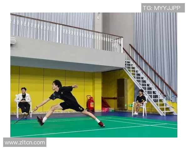 南京羽毛球队的灵活性探讨与发展策略分析